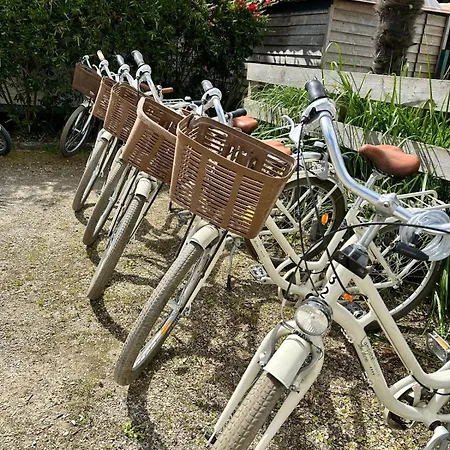 Campsite Campiotel Les Dunes - Romanee Ars-en-Re