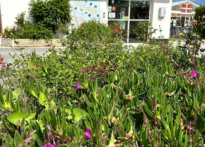 Camping Campiotel Les Dunes - Romanee *