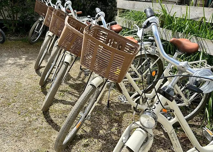 Camping Campiotel Les Dunes - Romanee Ars-en-Ré